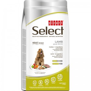 Select Adult Sensitive Lamb & Rice Superpremium 12kg